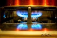 Заменить печное отопление на газ в городах Павлодарской области призывают экологи